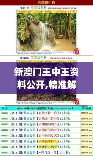 新澳门王中王资料公开,精准解答方案详解_JYQ39.961动画版