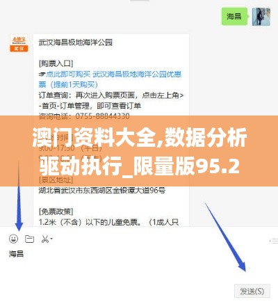 澳门资料大全,数据分析驱动执行_限量版95.295-1