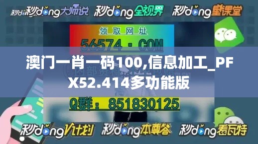 澳门一肖一码100,信息加工_PFX52.414多功能版