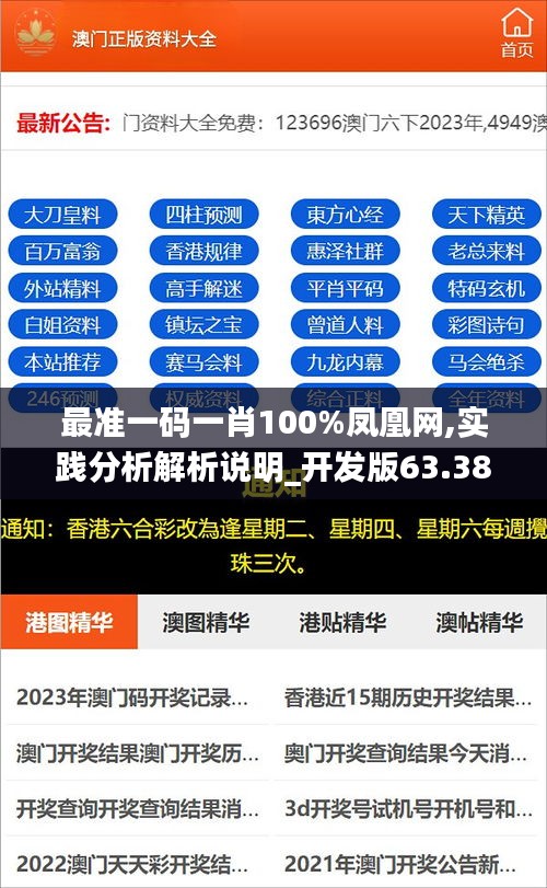 最准一码一肖100%凤凰网,实践分析解析说明_开发版63.389-7