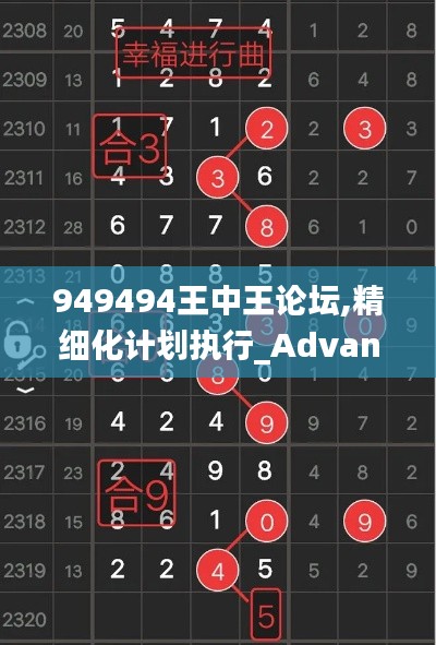 949494王中王论坛,精细化计划执行_Advanced45.851-2