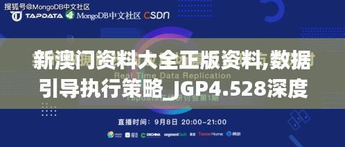 新澳门资料大全正版资料,数据引导执行策略_JGP4.528深度版