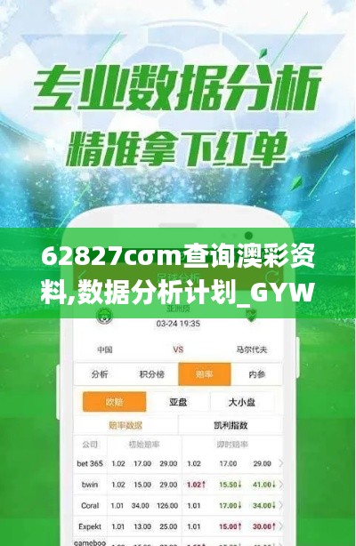 62827cσm查询澳彩资料,数据分析计划_GYW96.296远光版