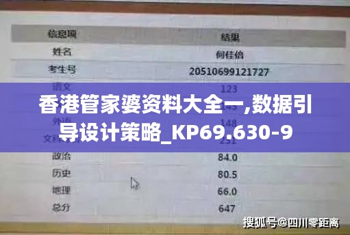 香港管家婆资料大全一,数据引导设计策略_KP69.630-9