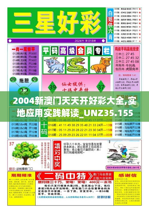 2004新澳门天天开好彩大全,实地应用实践解读_UNZ35.155强劲版