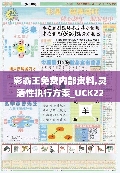 彩霸王免费内部资料,灵活性执行方案_UCK22.836影视版