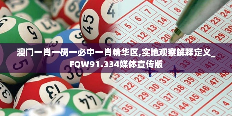 澳门一肖一码一必中一肖精华区,实地观察解释定义_FQW91.334媒体宣传版