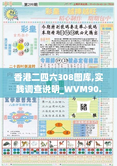 香港二四六308图库,实践调查说明_WVM90.731稀缺版