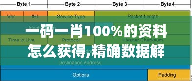 一码一肖100%的资料怎么获得,精确数据解释定义_ChromeOS16.731-3