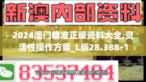 2024澳门精准正版资料大全,灵活性操作方案_L版28.388-1