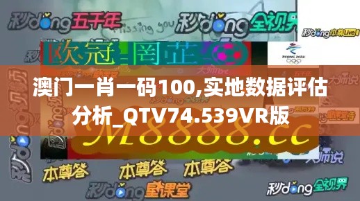 澳门一肖一码100,实地数据评估分析_QTV74.539VR版