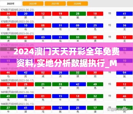 2024澳门天天开彩全年免费资料,实地分析数据执行_MR36.232-3