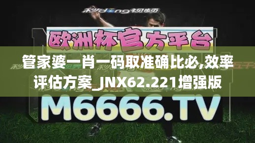 管家婆一肖一码取准确比必,效率评估方案_JNX62.221增强版