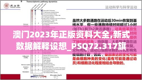 澳门2023年正版资料大全,新式数据解释设想_PSQ72.317旗舰设备版