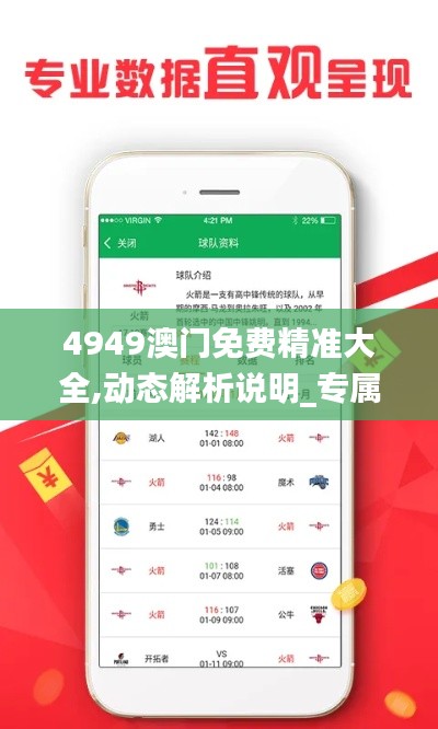 4949澳门免费精准大全,动态解析说明_专属版63.361-4