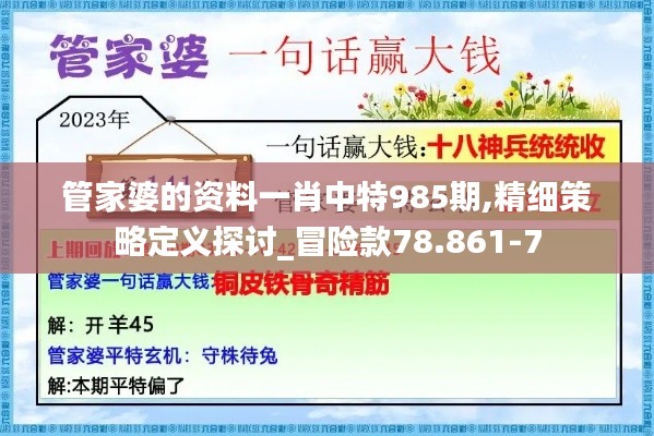 管家婆的资料一肖中特985期,精细策略定义探讨_冒险款78.861-7