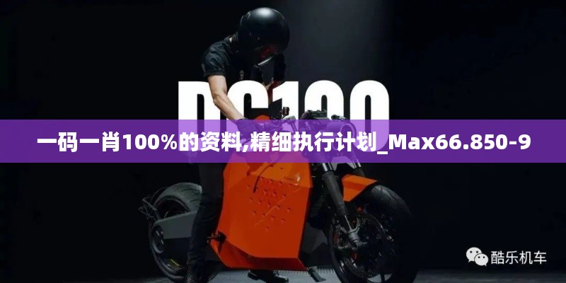 一码一肖100%的资料,精细执行计划_Max66.850-9