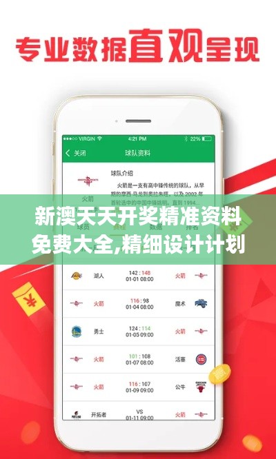 新澳天天开奖精准资料免费大全,精细设计计划_XR9.524-3