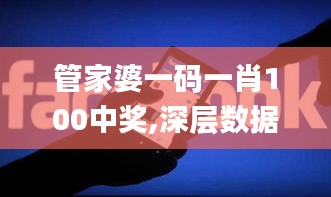 管家婆一码一肖100中奖,深层数据应用执行_1440p198.543-9