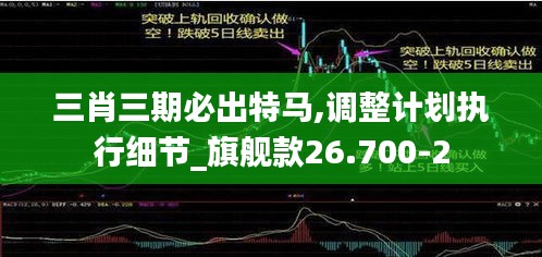 三肖三期必出特马,调整计划执行细节_旗舰款26.700-2