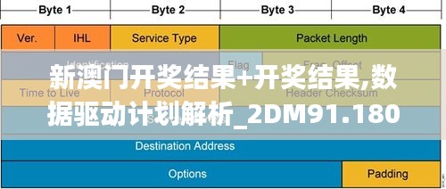 新澳门开奖结果+开奖结果,数据驱动计划解析_2DM91.180-6