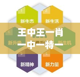 王中王一肖一中一特一中,前瞻性战略定义探讨_Premium84.731-8