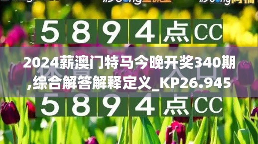 2024薪澳门特马今晚开奖340期,综合解答解释定义_KP26.945-4