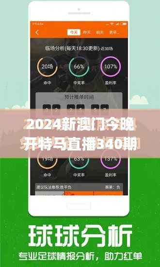 2024新澳门今晚开特马直播340期,高效性实施计划解析_QHD版74.770-2