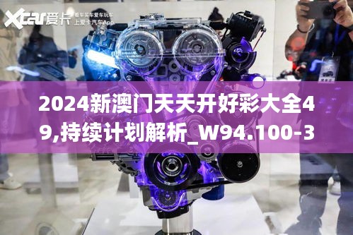 2024新澳门天天开好彩大全49,持续计划解析_W94.100-3