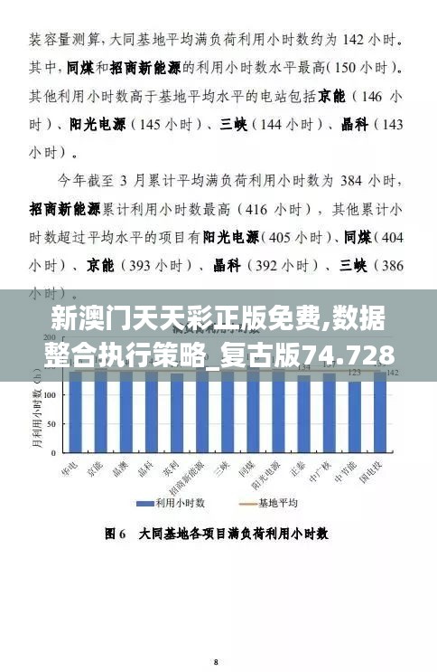 新澳门天天彩正版免费,数据整合执行策略_复古版74.728-7