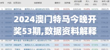 2024澳门特马今晚开奖53期,数据资料解释定义_S9.798-8