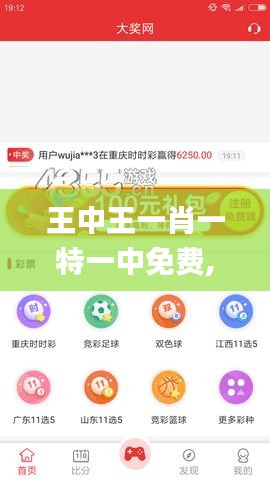 王中王一肖一特一中免费,实地设计评估数据_XP144.539-9