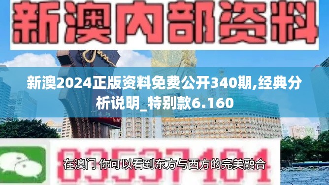 新澳2024正版资料免费公开340期,经典分析说明_特别款6.160