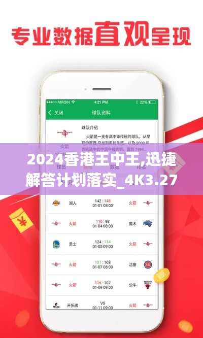 2024香港王中王,迅捷解答计划落实_4K3.279