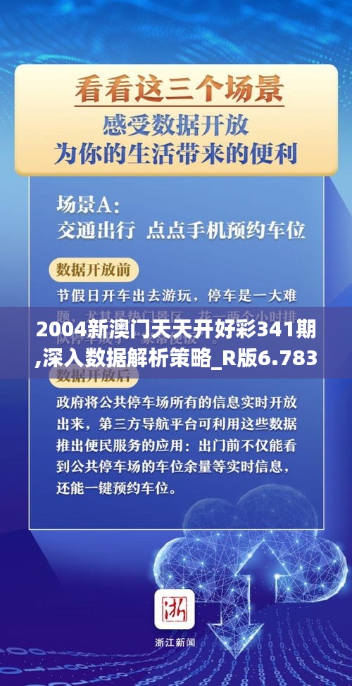 2004新澳门天天开好彩341期,深入数据解析策略_R版6.783