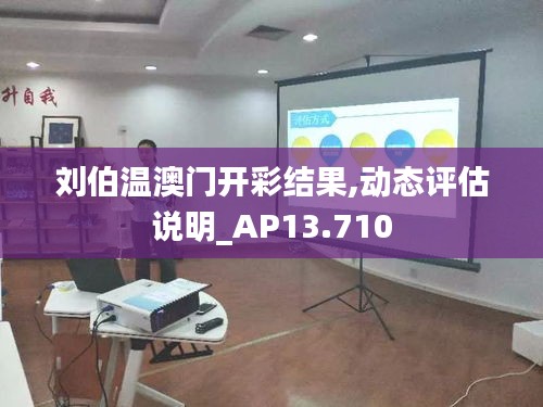 刘伯温澳门开彩结果,动态评估说明_AP13.710