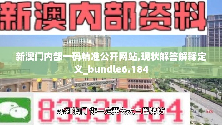 新澳门内部一码精准公开网站,现状解答解释定义_bundle6.184