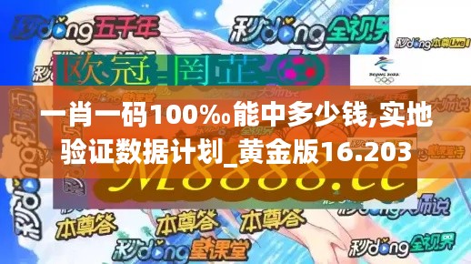 一肖一码100‰能中多少钱,实地验证数据计划_黄金版16.203