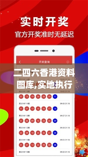 二四六香港资料图库,实地执行考察设计_XP9.788