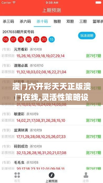 澳门六开彩天天正版澳门在线,灵活性策略设计_专家版4.944