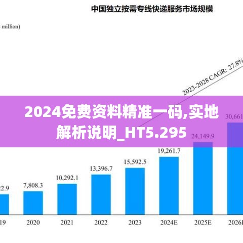 2024免费资料精准一码,实地解析说明_HT5.295