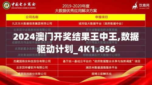 2024澳门开奖结果王中王,数据驱动计划_4K1.856