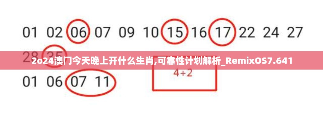 2o24澳门今天晚上开什么生肖,可靠性计划解析_RemixOS7.641