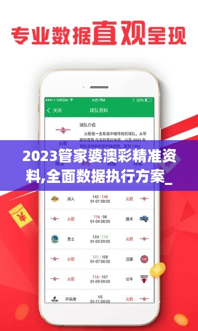 2023管家婆澳彩精准资料,全面数据执行方案_豪华款9.746