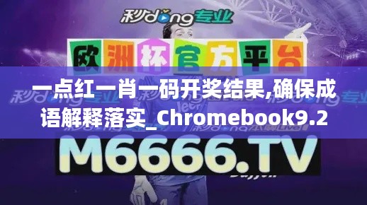 一点红一肖一码开奖结果,确保成语解释落实_Chromebook9.219