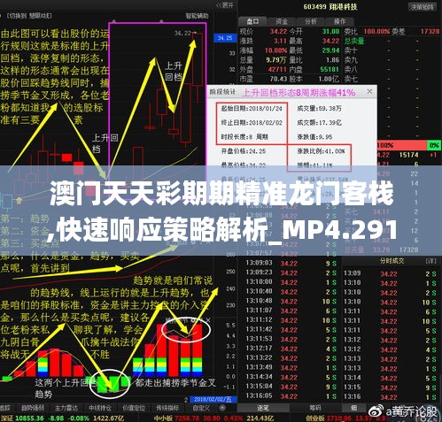 澳门天天彩期期精准龙门客栈,快速响应策略解析_MP4.291