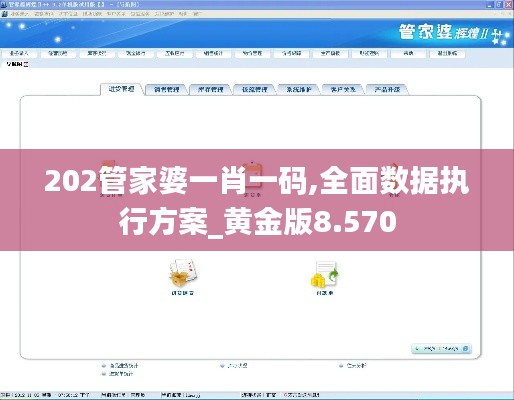 202管家婆一肖一码,全面数据执行方案_黄金版8.570