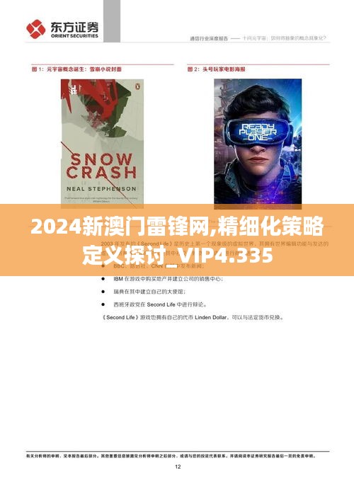 2024新澳门雷锋网,精细化策略定义探讨_VIP4.335