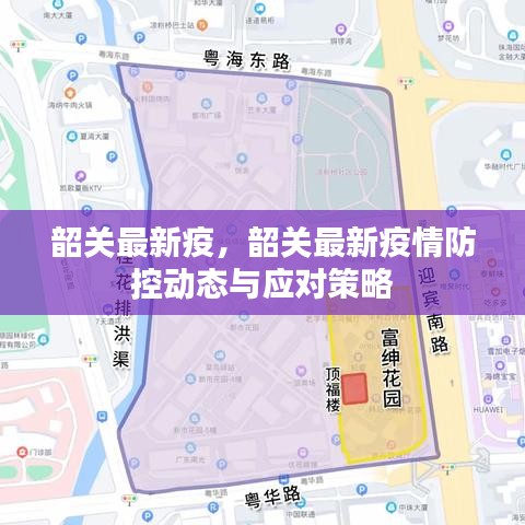 韶关疫情防控最新动态及应对策略