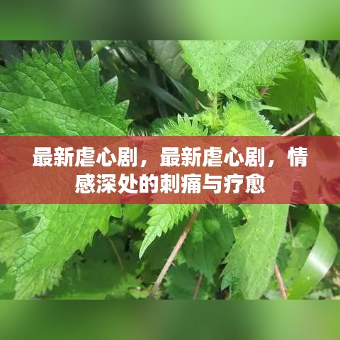 鬼张鬼智 第4页